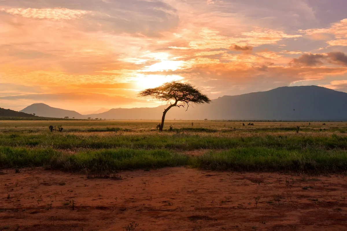 Quand partir en Guinée-Bissau ? Saison sèche/pluies, climat… le meilleur mois pour voyager