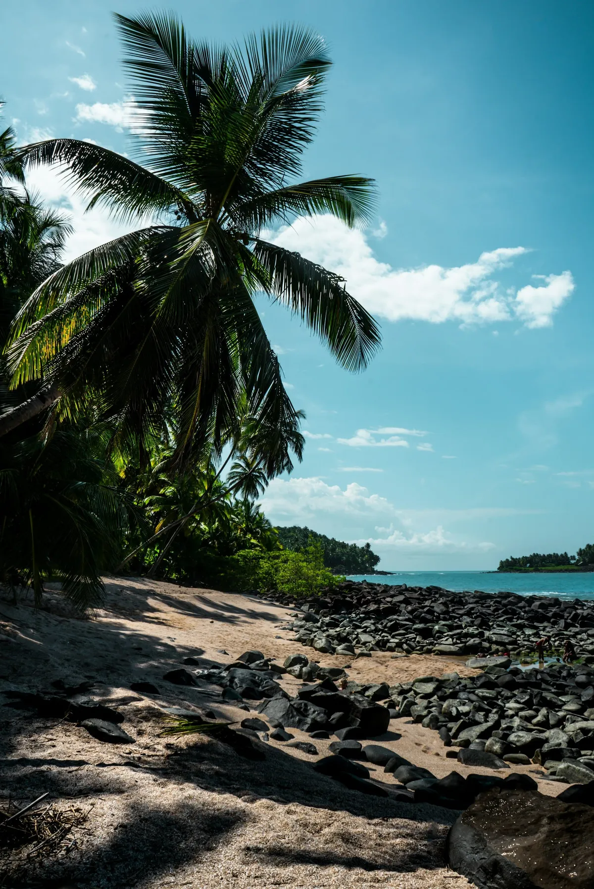 Que faire en Guyane ? Top 20 des activités à faire absolument