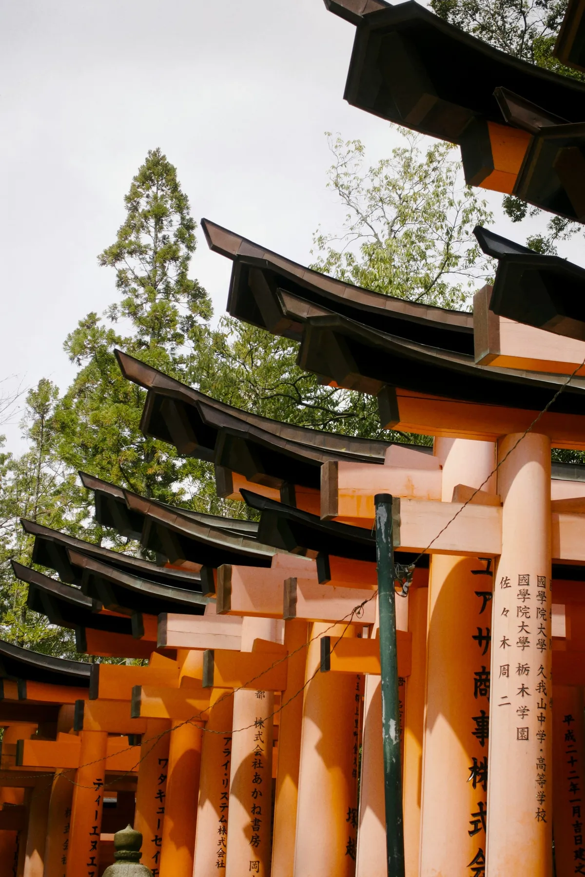 Que faire à Kyoto ? 25 choses incontournables à faire