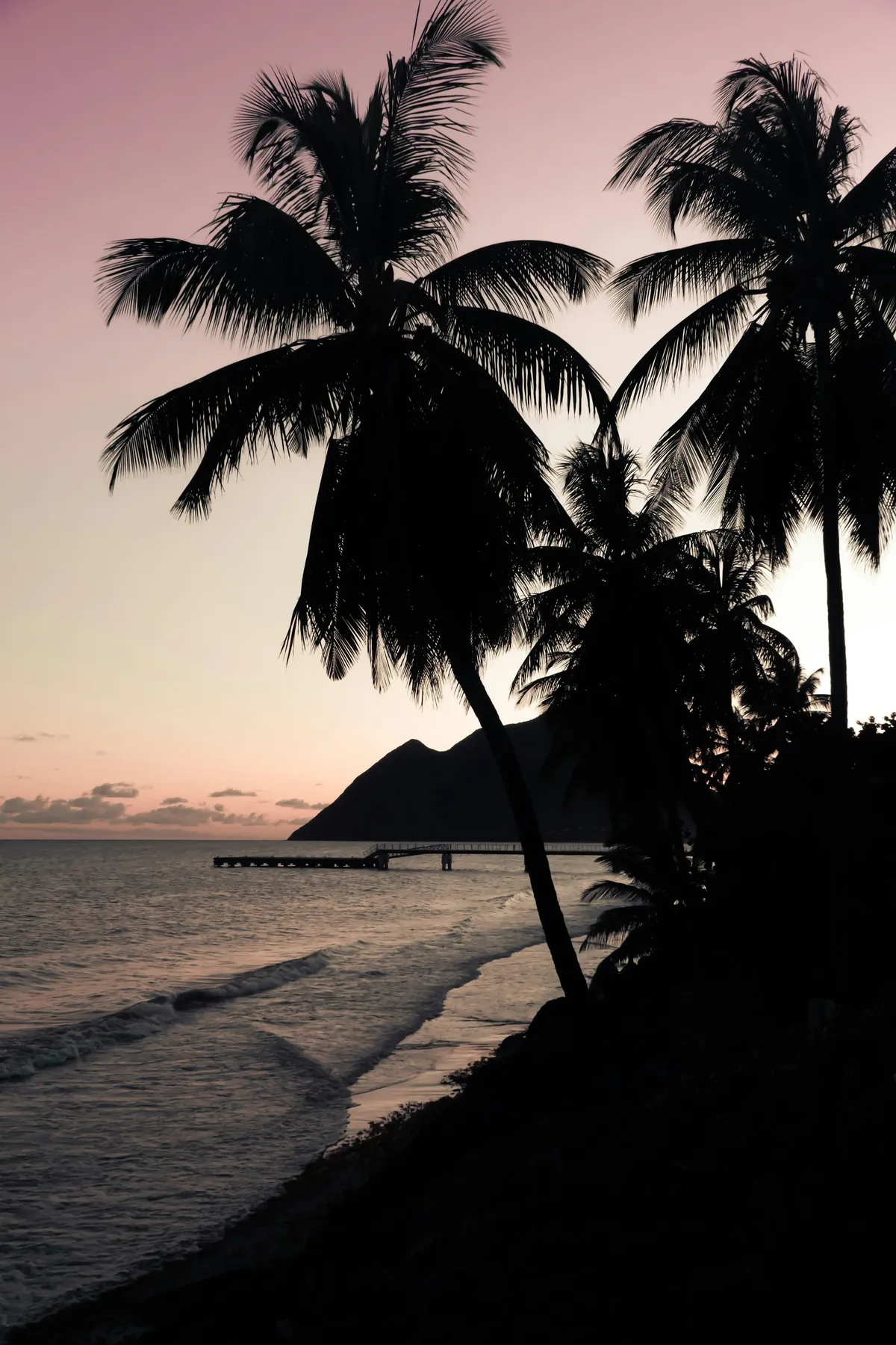 Quels souvenirs rapporter de Martinique ?