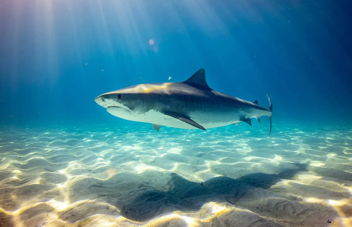 Seychelles : est-ce dangereux ? Sécurité, nature, baignade… conseils + points de vigilance