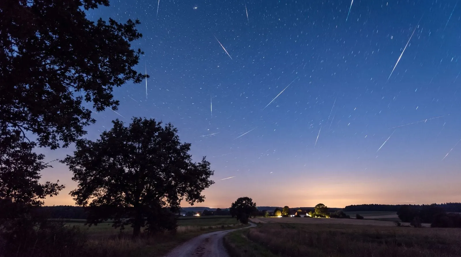 nuit étoiles filantes août
