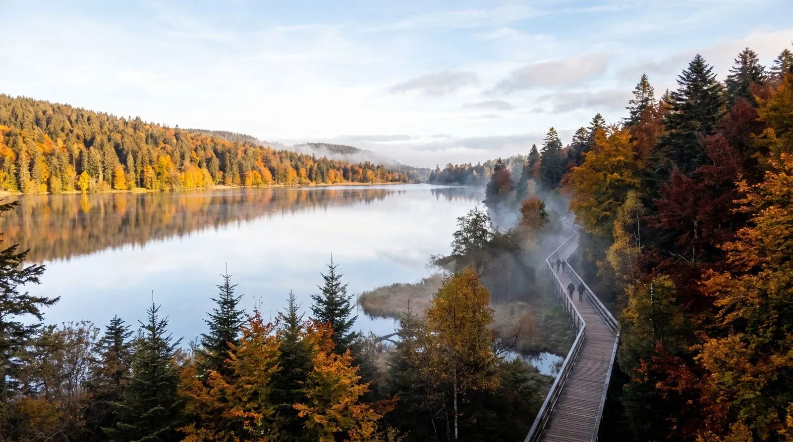 Canada forêt lacs sapins Vosges