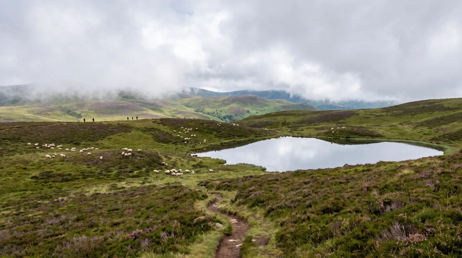 Highlands écossais plateau brumeux France