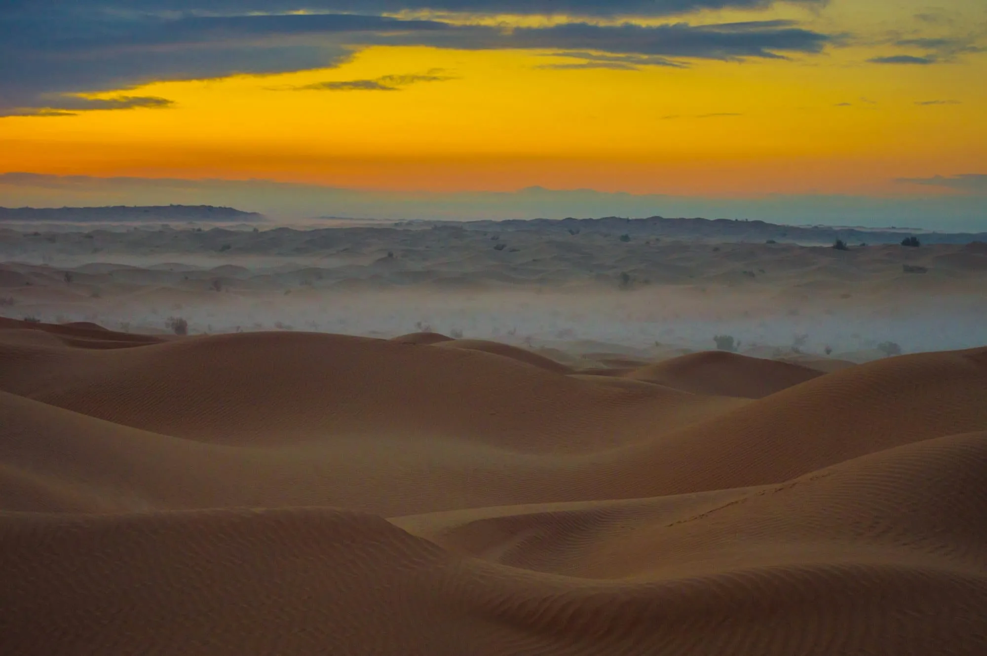 Que faire à Douz : 25 activités à faire (portes du Sahara, dromadaire, dunes) Image de l’article
