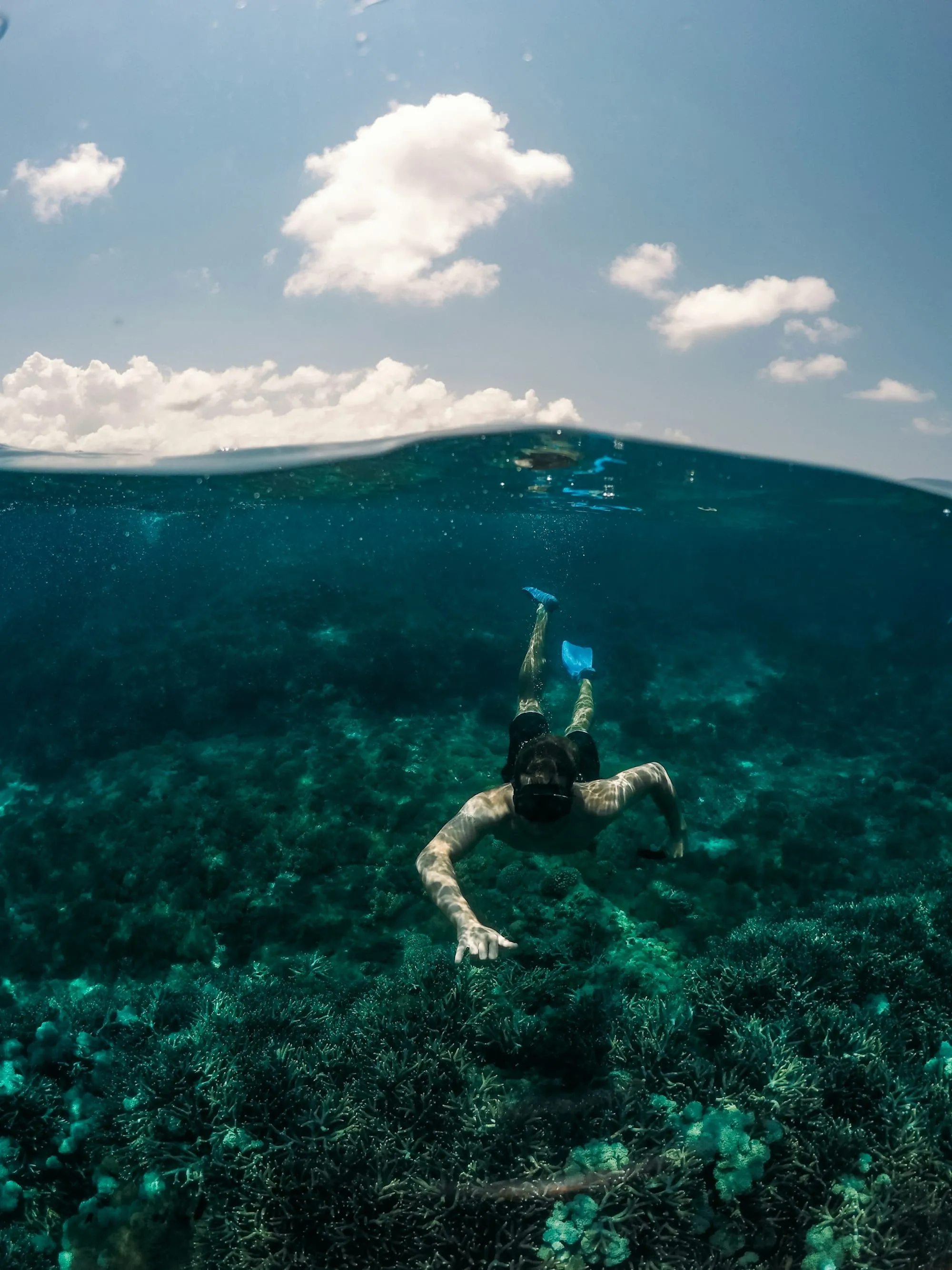 Que faire à Tabarka : 25 activités à faire (plongée, aiguilles, forêt, corail) Image de l’article