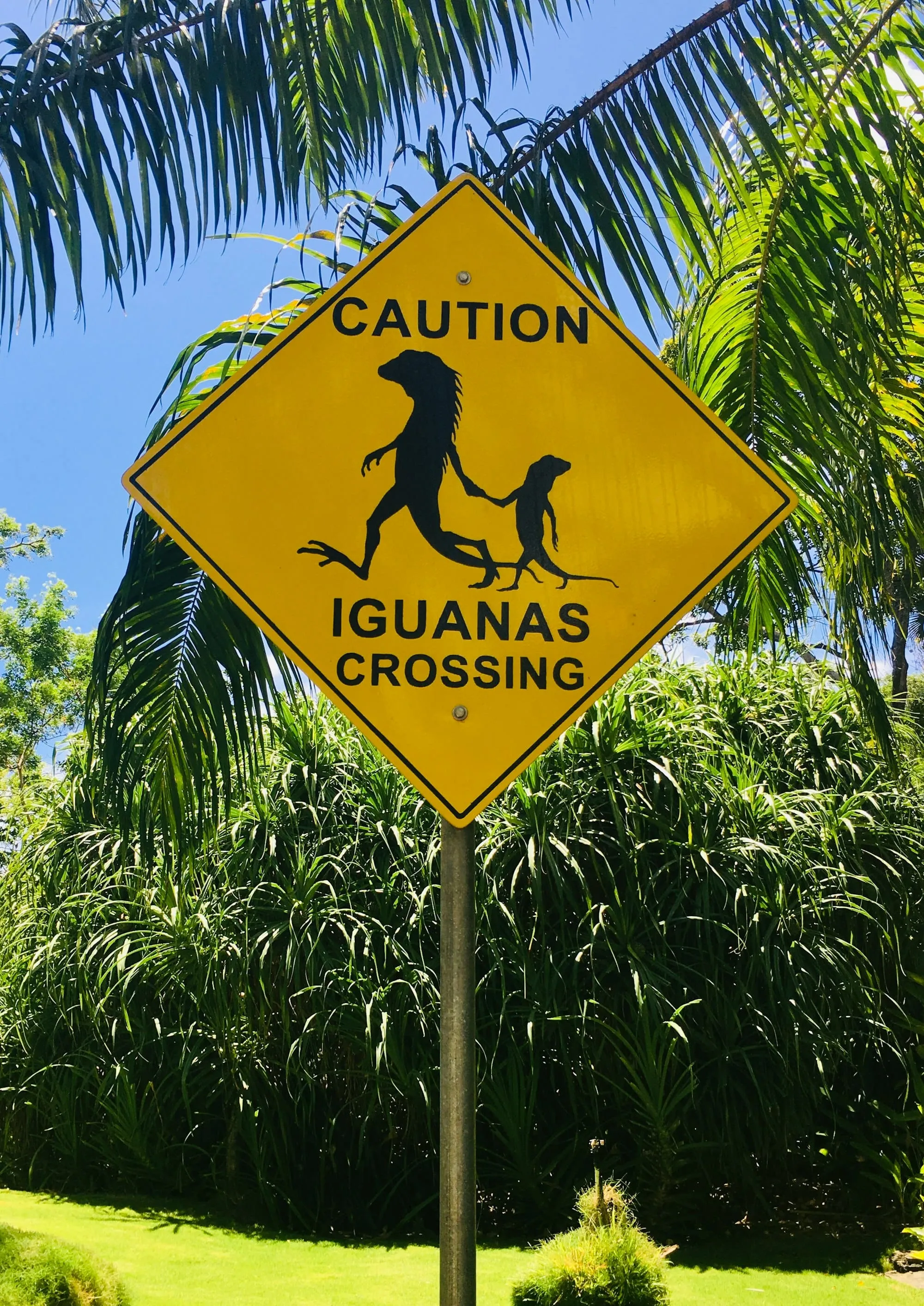 Belize : est-ce dangereux ? Sécurité, arnaques, conseils + zones à éviter Image de l’article