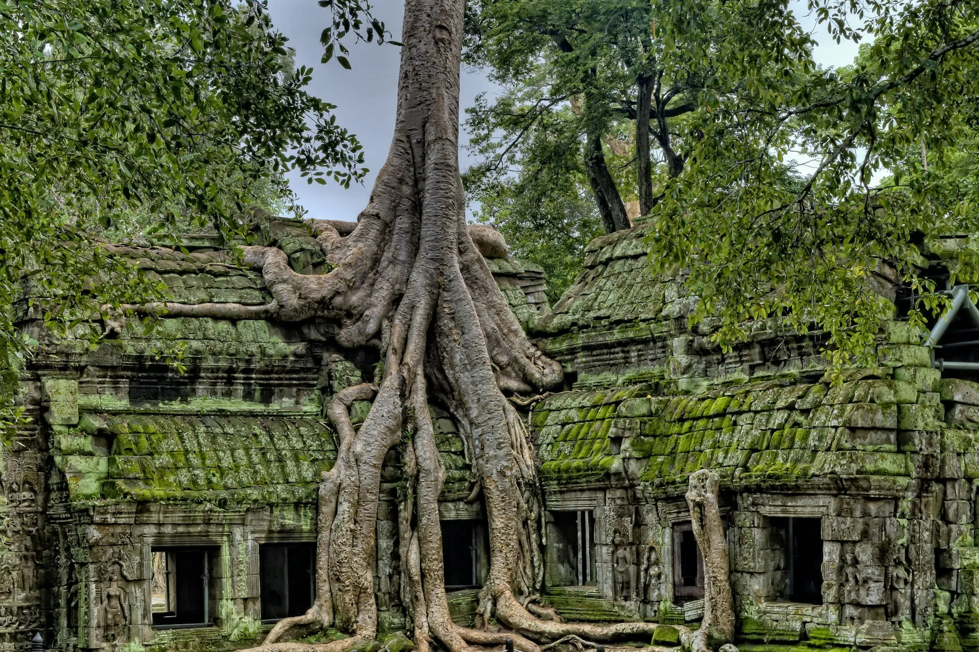 Cambodge : 30 choses à voir et à faire (Angkor, Phnom Penh, îles, jungle, villages) Image de l’article