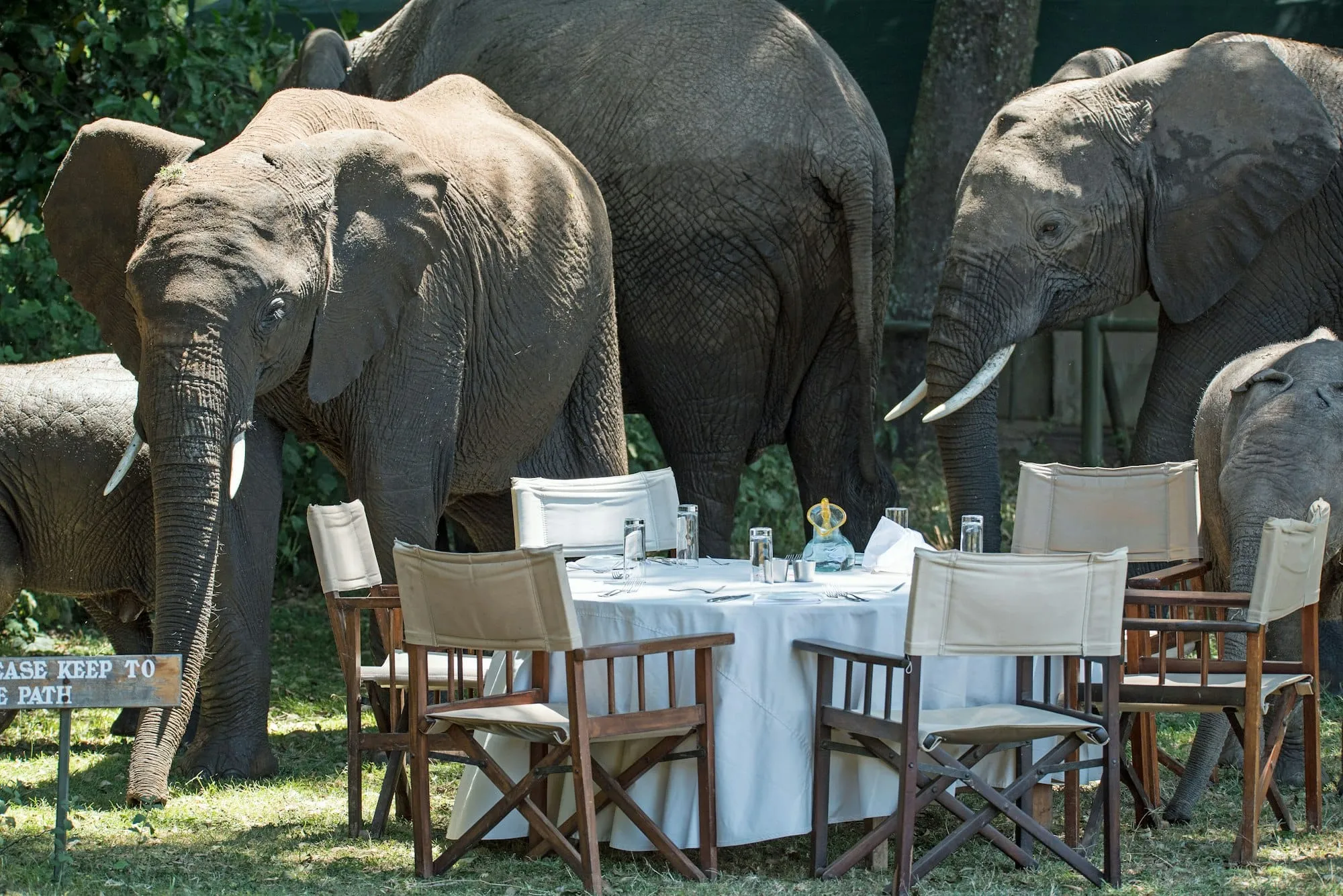 Où dormir au Botswana : meilleurs lodges (Okavango/Chobe) + options selon ton budget Image de l’article