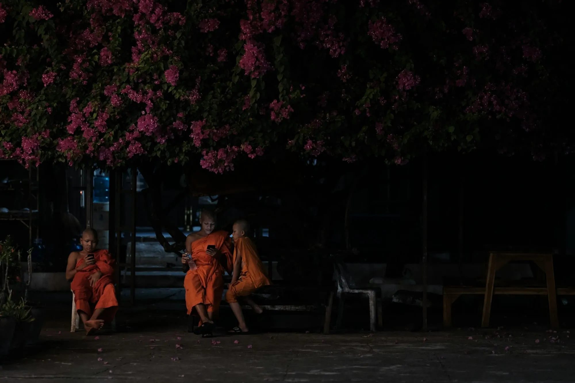 Langue au Laos : lao + phrases utiles (saluer, commander, négocier) Image de l’article