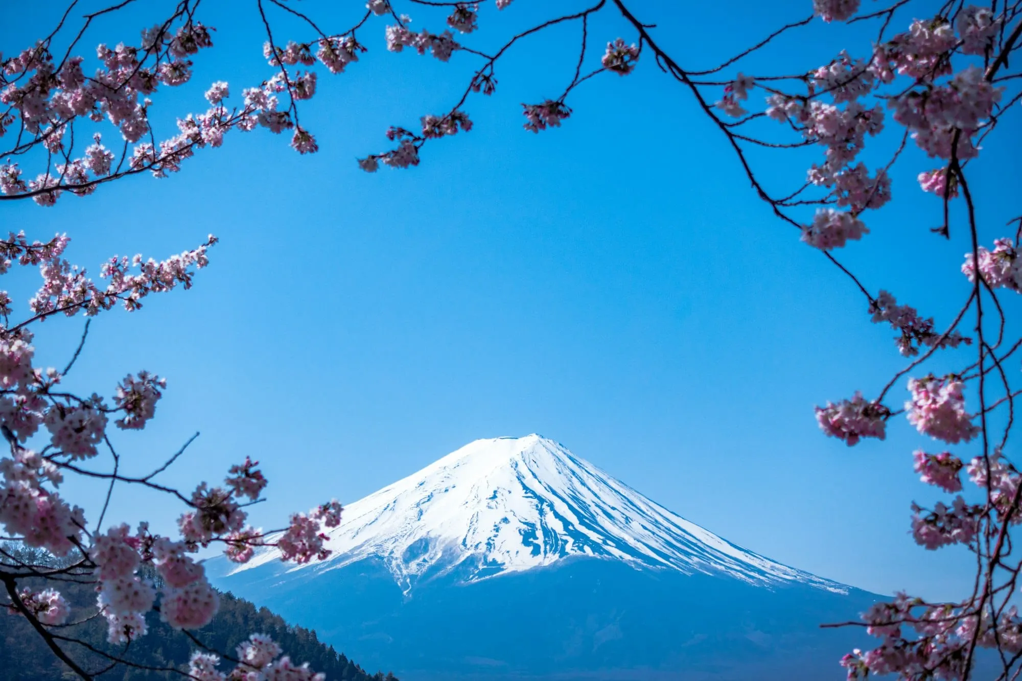 Quand partir au Japon : météo, saison et climat ? Image de l’article