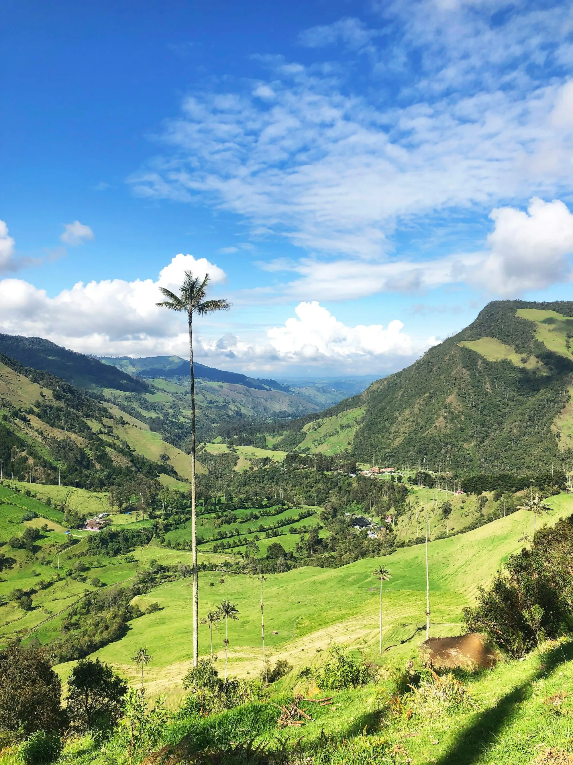 Quand partir en Colombie ? Climat par régions, saisons des pluies… le meilleur mois selon ton itinéraire Image de l’article