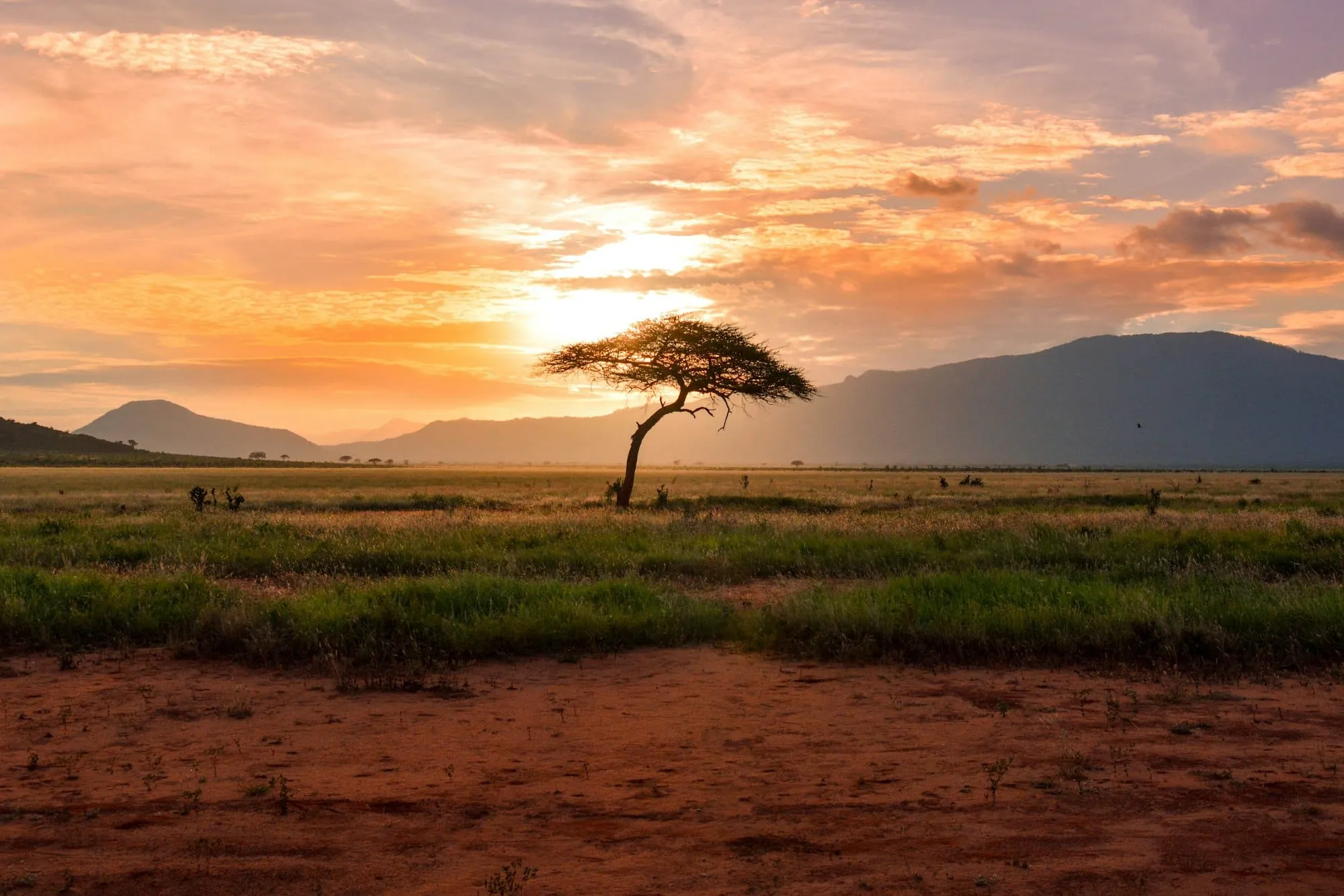 Quand partir en Guinée-Bissau ? Saison sèche/pluies, climat… le meilleur mois pour voyager Image de l’article