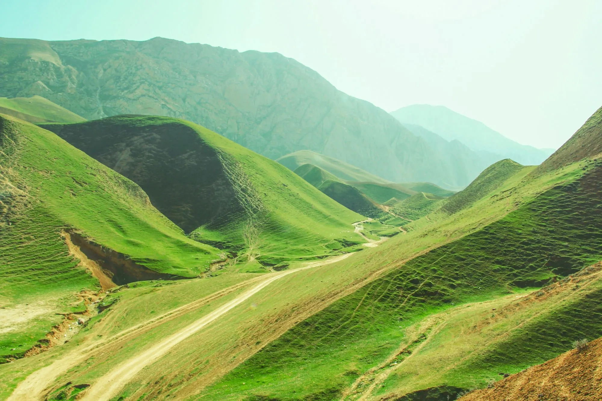 Que faire à Balkh : Top 25 des visites incontournables Image de l’article