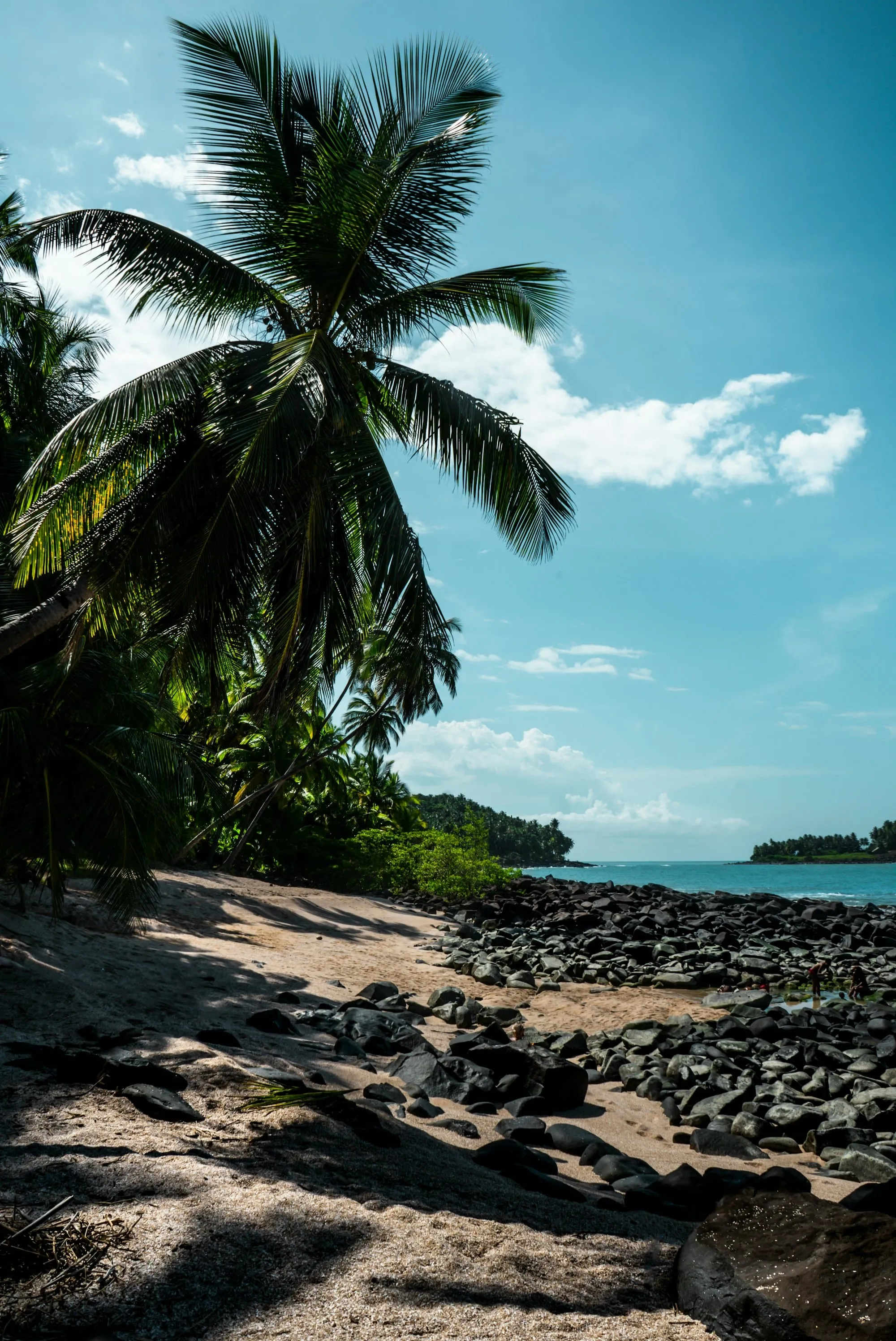 Que faire en Guyane ? Top 20 des activités à faire absolument Image de l’article