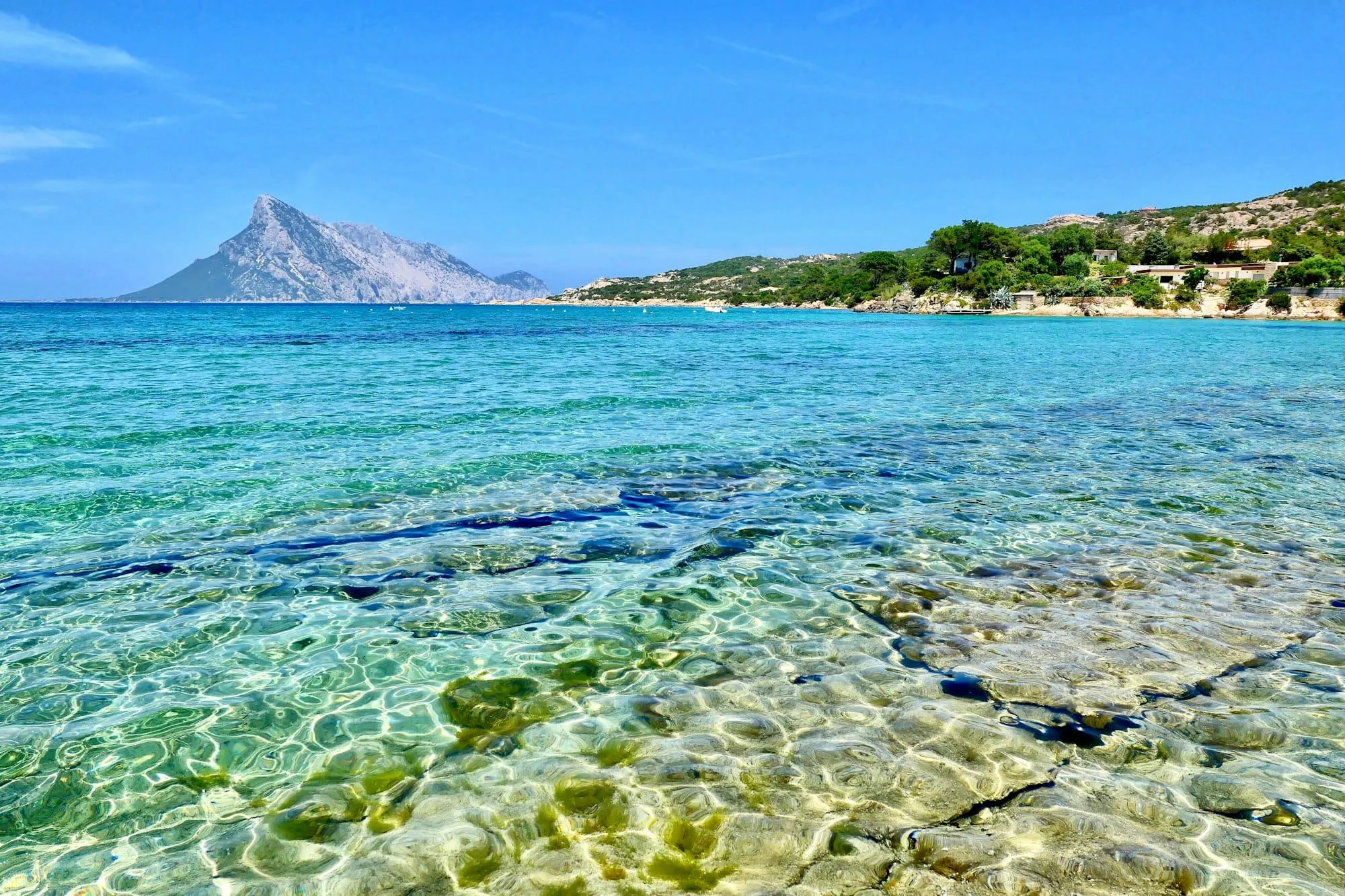 Que faire à Olbia ? Le top 12 des activités incontournables Image de l’article