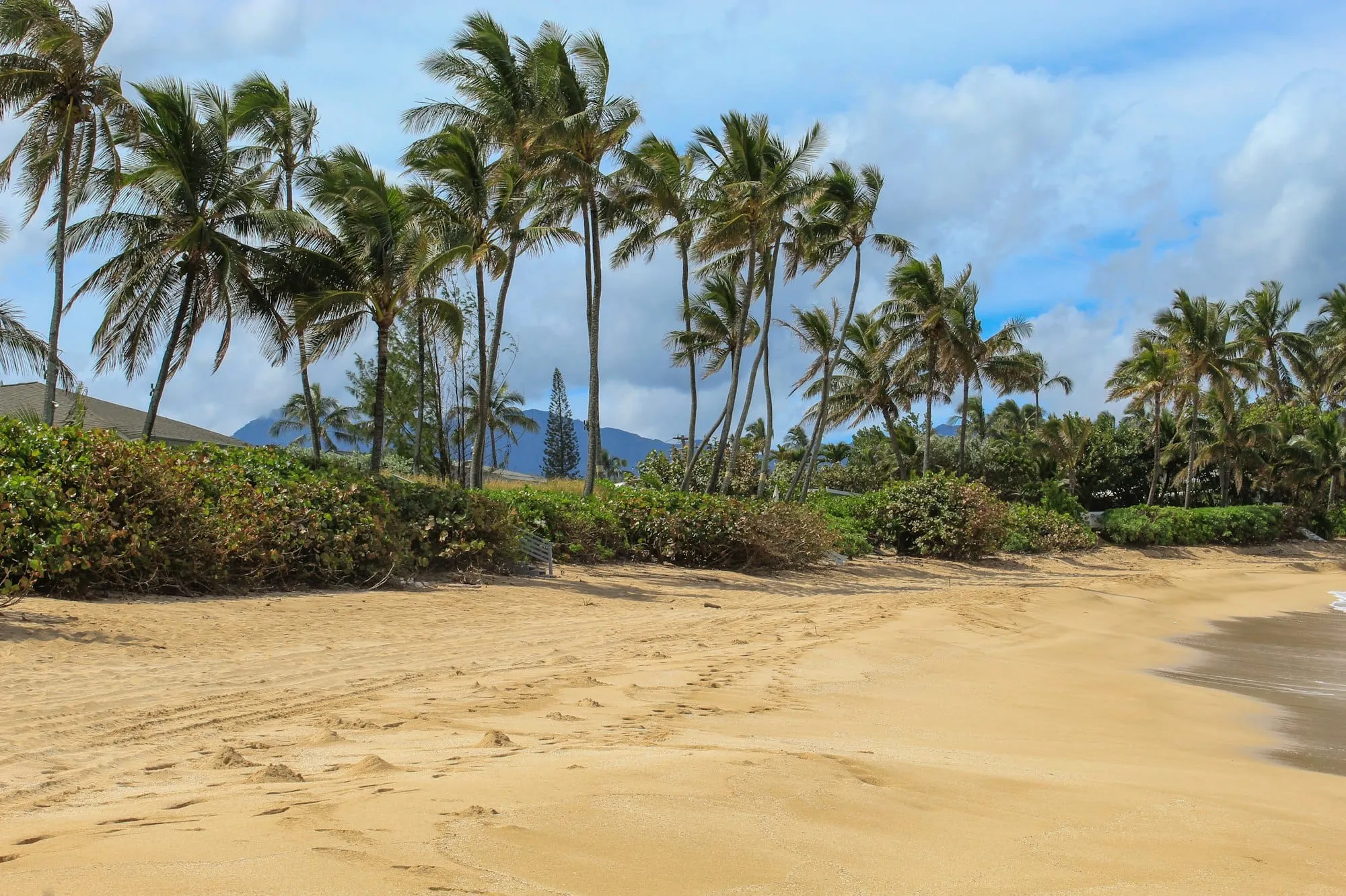 Que faire à Saint-Paul à La réunion ? Top 10 des activités incontournables ! Image de l’article