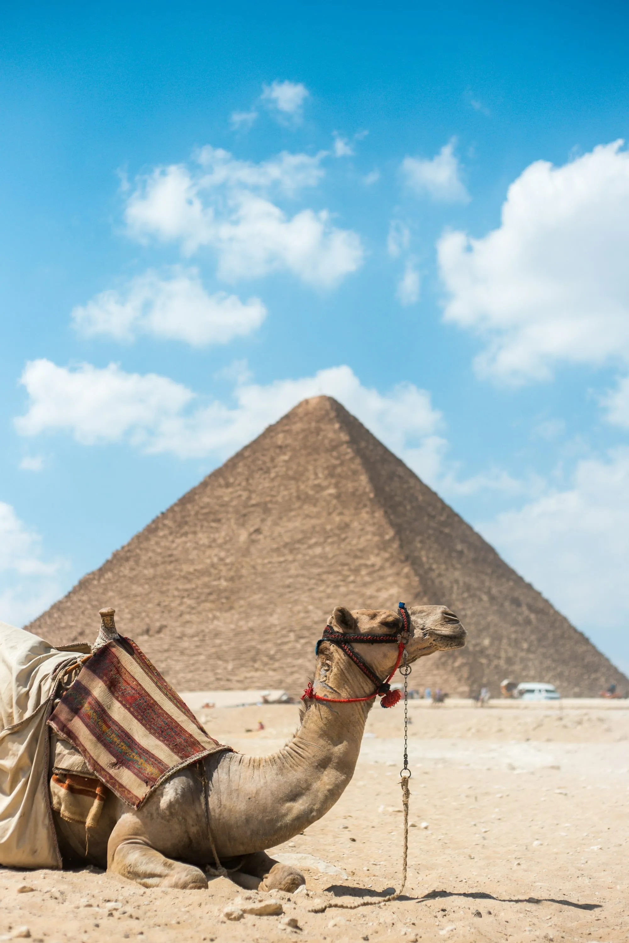 Se déplacer en Égypte : train, avion, Uber, taxis, croisière… guide pratique Image de l’article