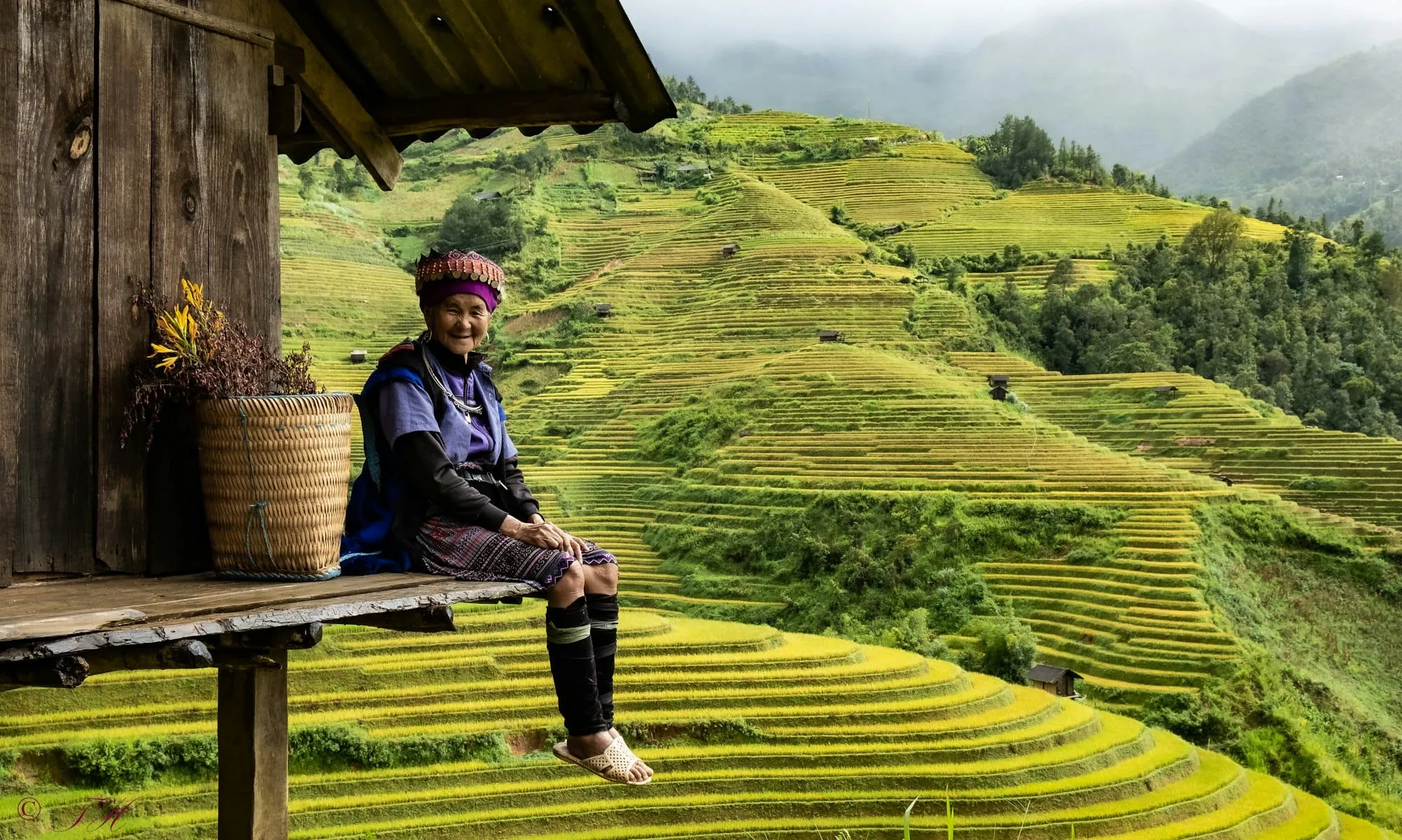 Voyage au Vietnam : budget réaliste (hôtels, transports, street food, activités) Image de l’article
