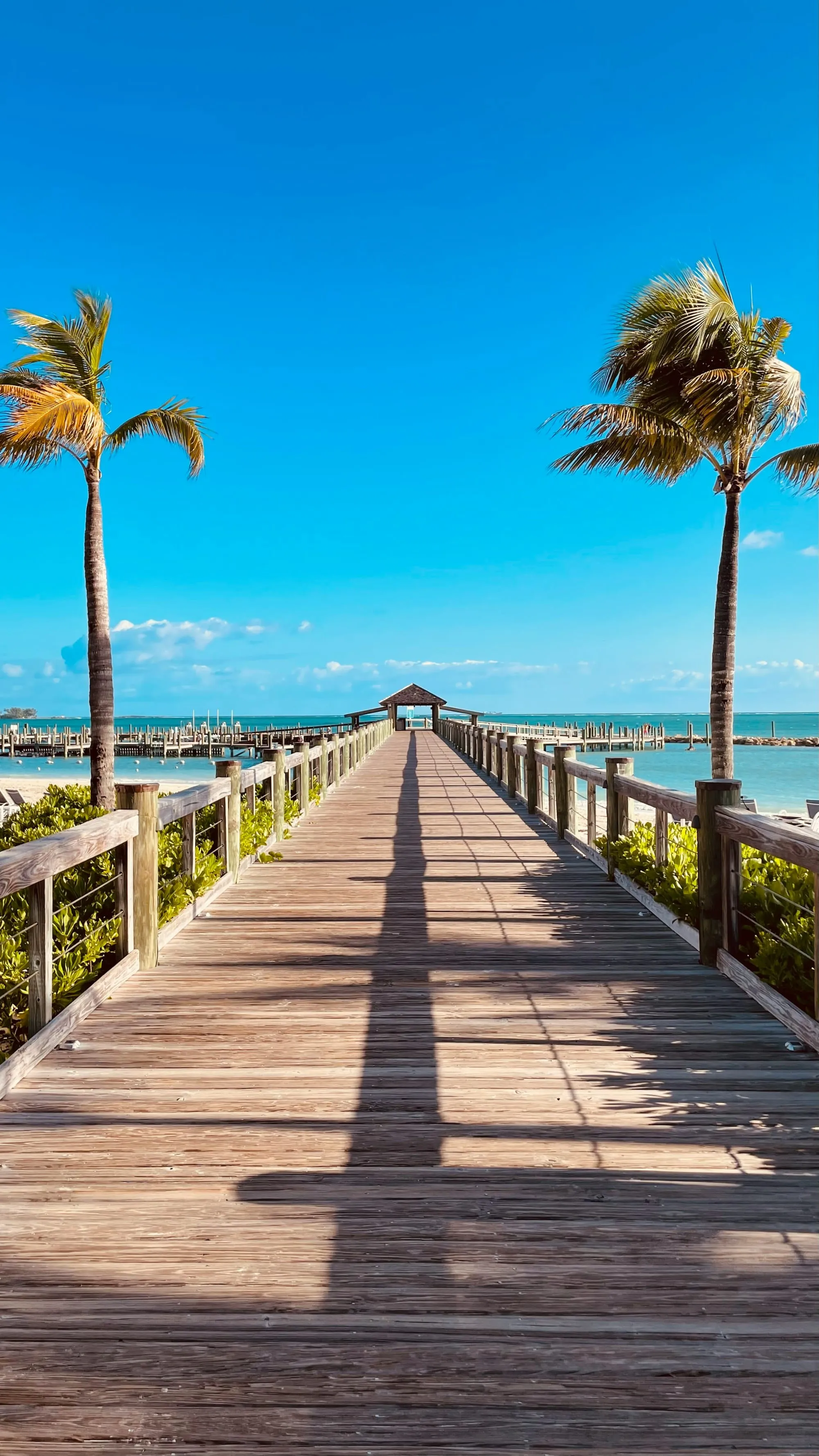 Voyage aux Bahamas : budget réaliste (îles, ferries/vols, hôtels, activités) + astuces Image de l’article