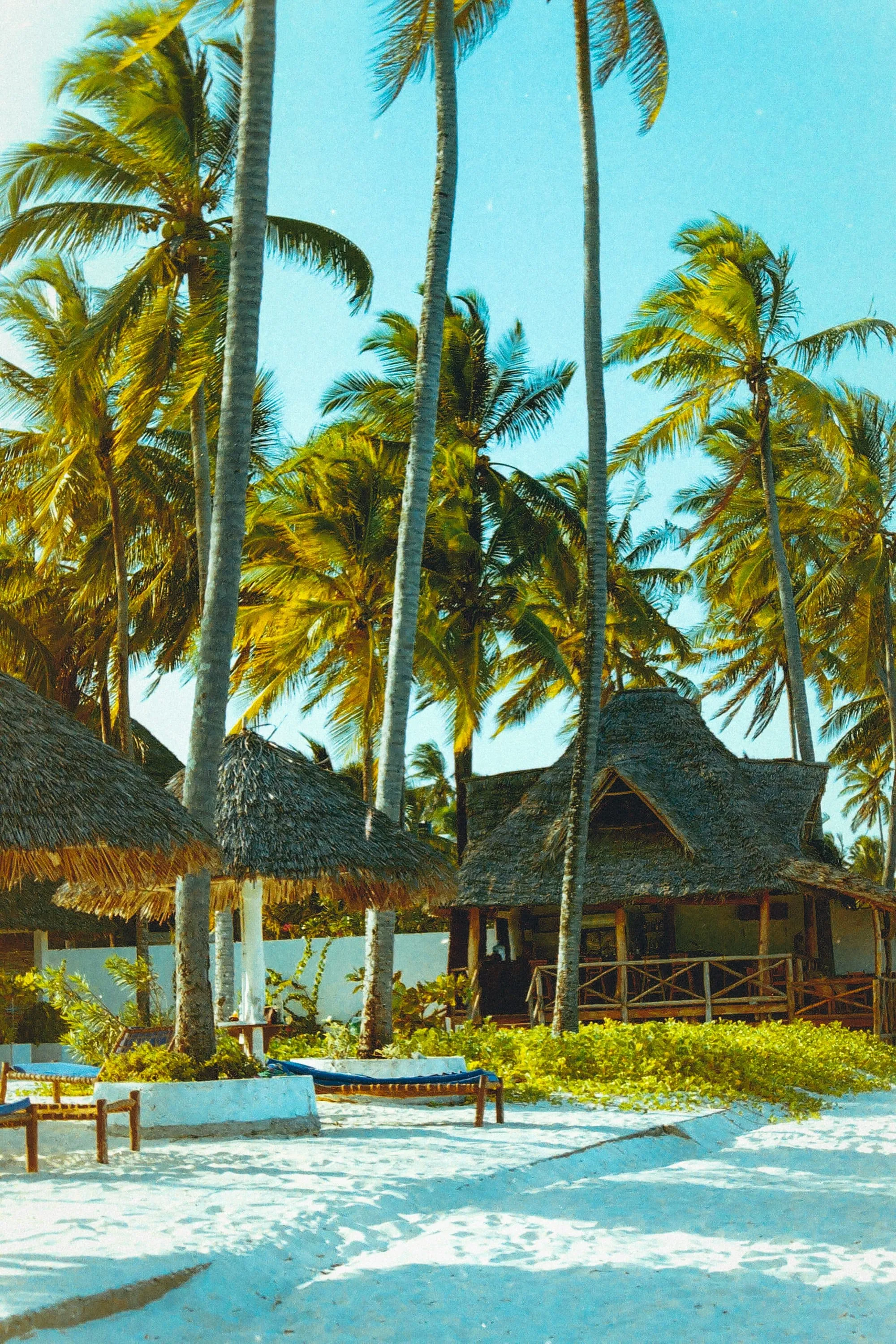 Zanzibar est-il un pays dangereux ? Santé, sécurité et zones à éviter Image de l’article