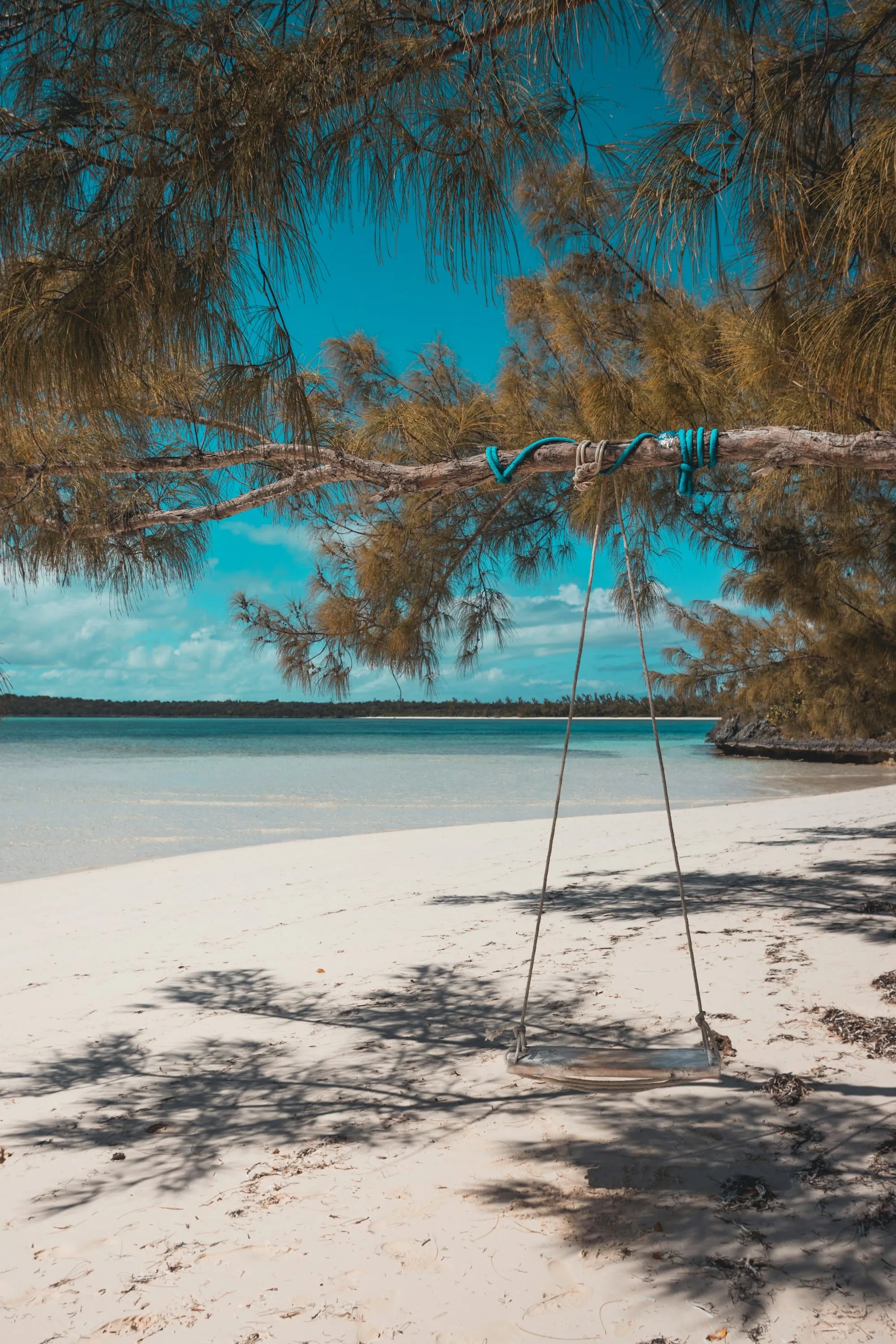 Bahamas : 30 choses à voir et à faire (Nassau, Exumas, Eleuthera… plages & expériences)
