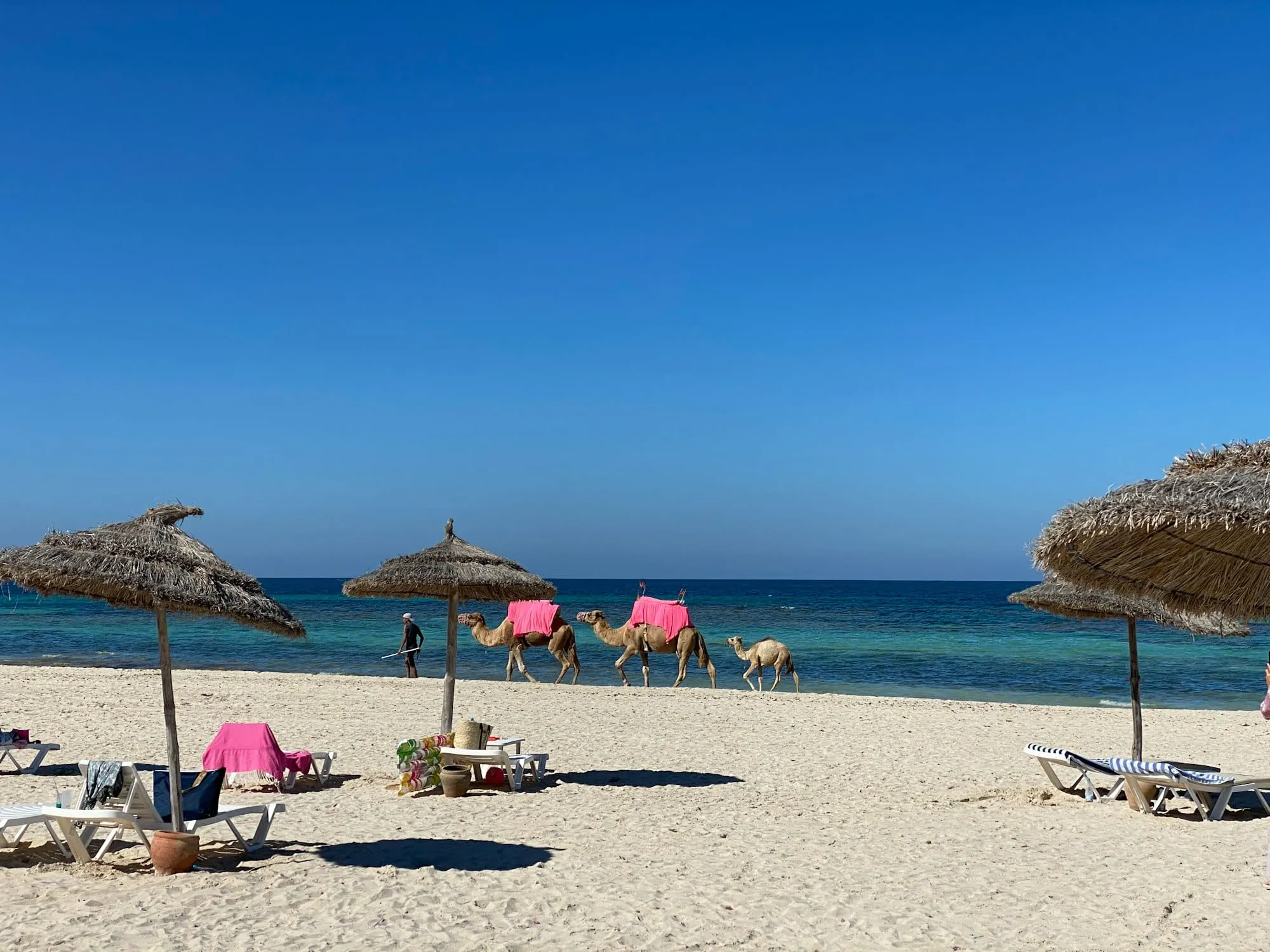 Excursions à Djerba : les meilleures sorties (lagune, villages, désert, bateau)