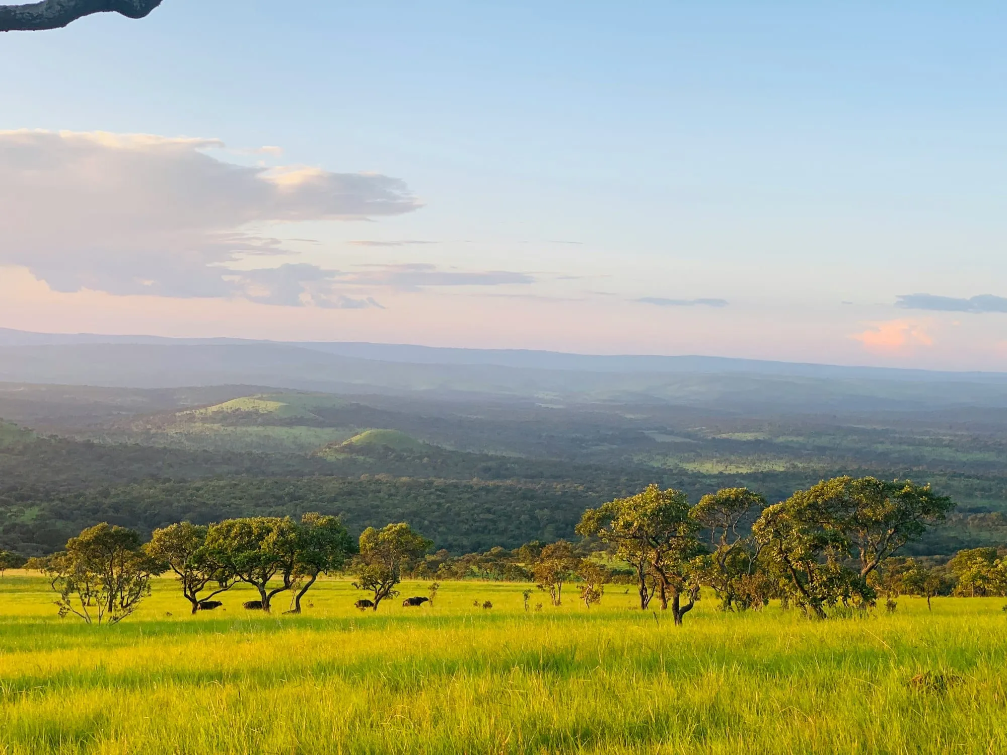 Quand partir au Burundi ? Climat équatorial, saisons sèches/pluies… le meilleur mois selon ton séjour