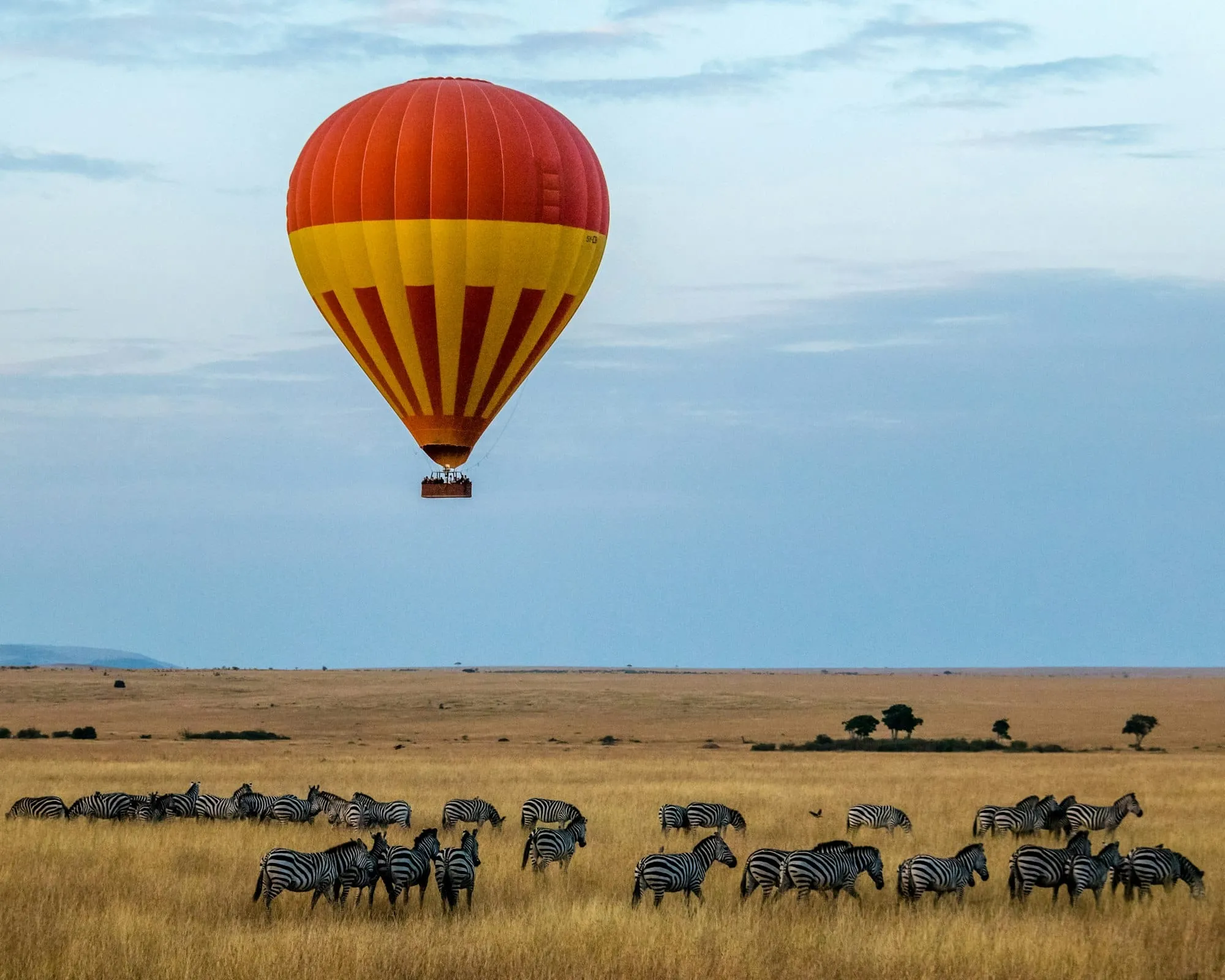 Quand partir au Kenya ? Saisons sèches/pluies, migration des gnous… le meilleur mois selon ton safari