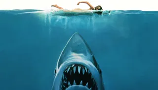 Jaws