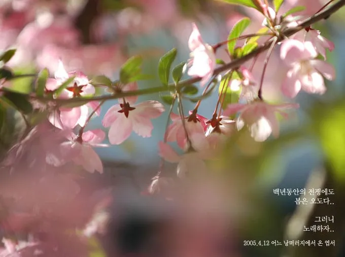 백년동안의 전쟁에도