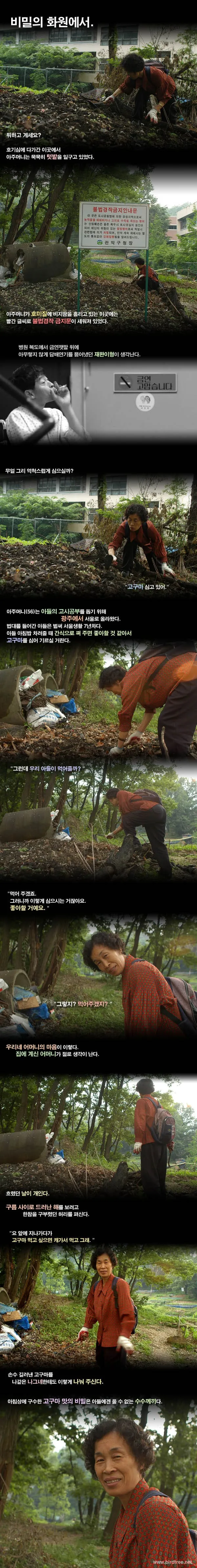 비밀의 화원에서