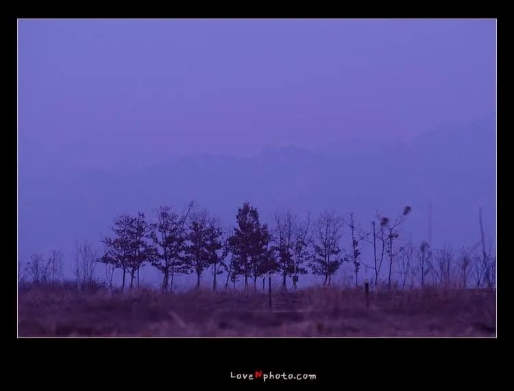 언어다.