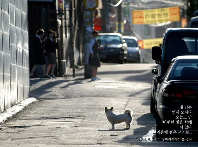 내 님은 언제 오시나