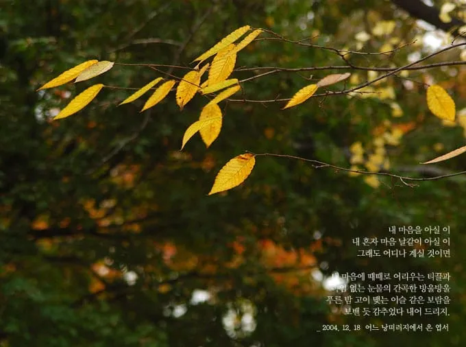 내 마음을