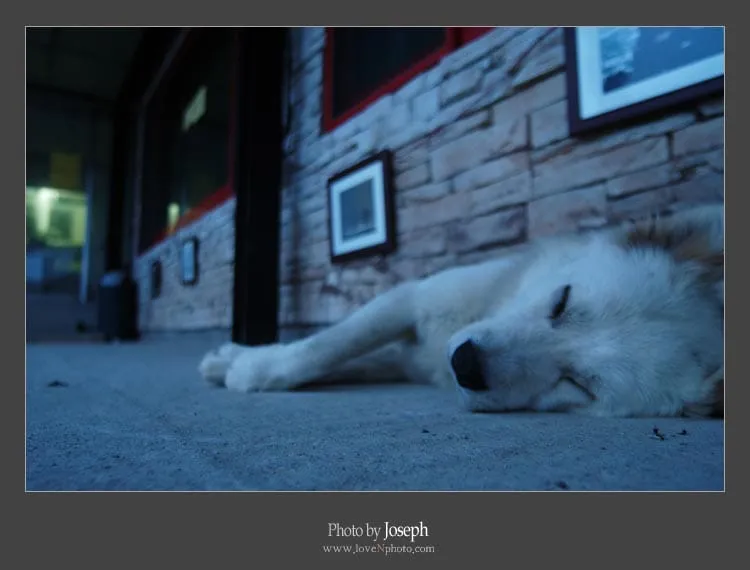 선재도에서의 아침