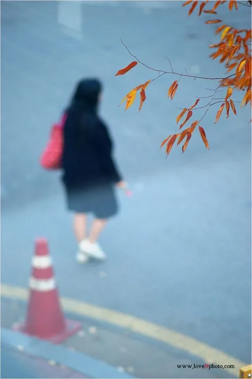 가을은..