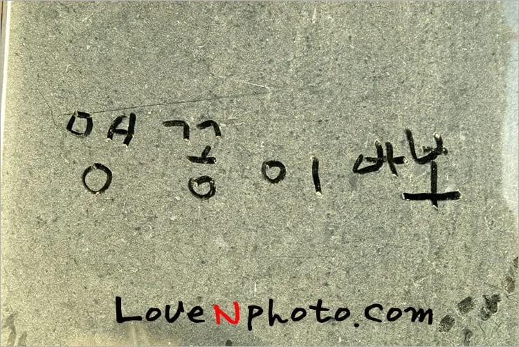 맹꽁이바보