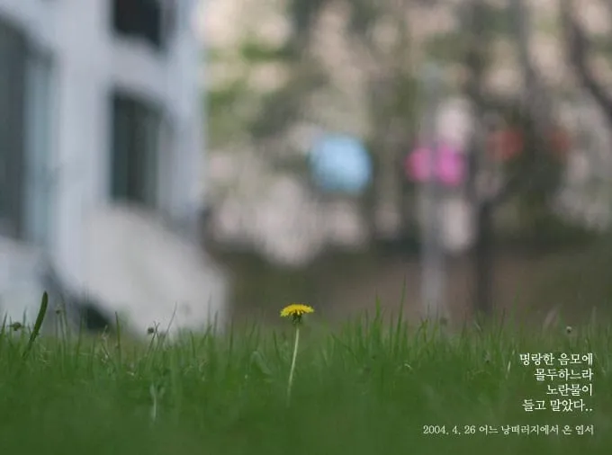 명랑한 음모에 몰두하느라