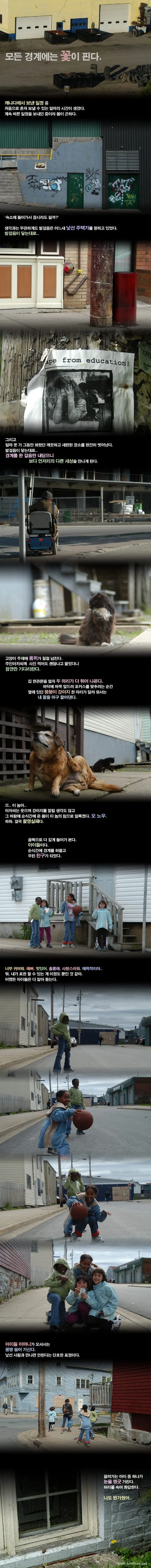 모든 경계에는 꽃이 핀다.