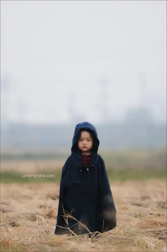 강진여수