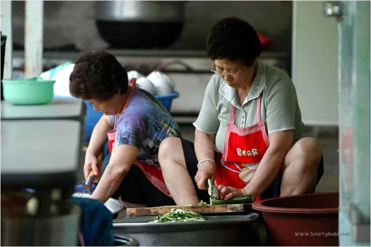 어미의 마음