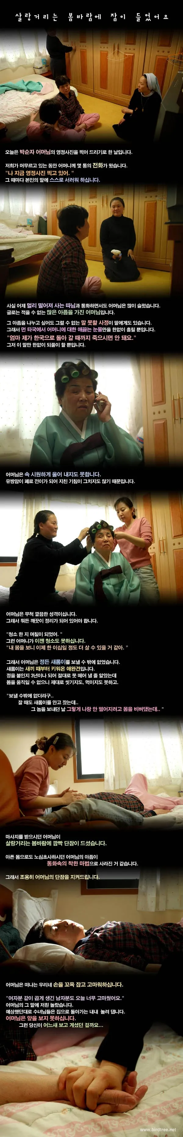 살랑거리는 봄바람에 잠이 들었어요