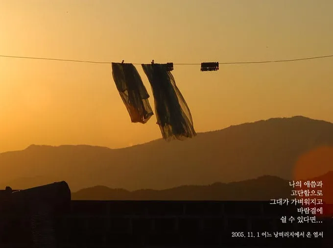 나의 애씀과..