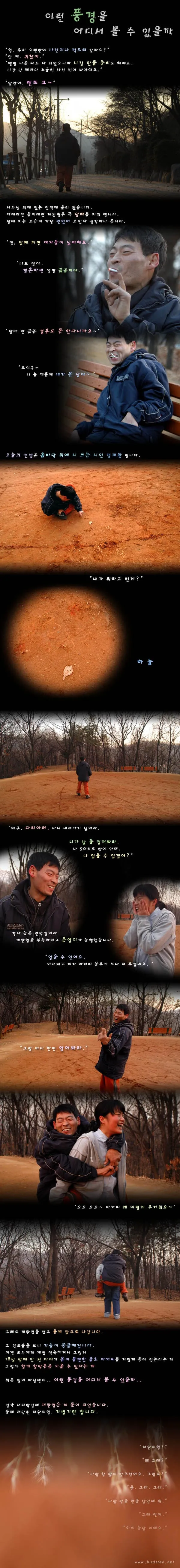 이런 풍경을 어디서 볼 수 있을까.