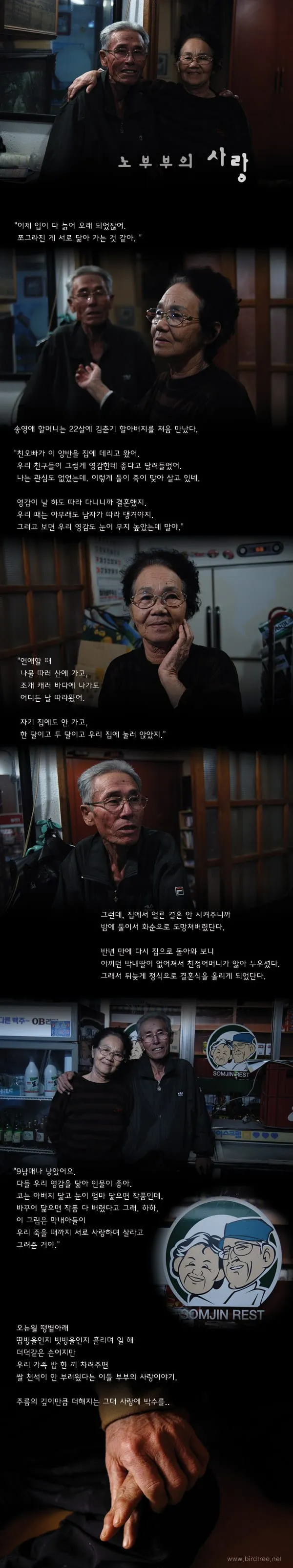 노부부의 사랑