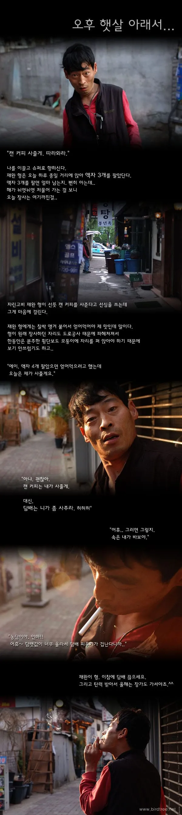 오후 햇살 아래서..