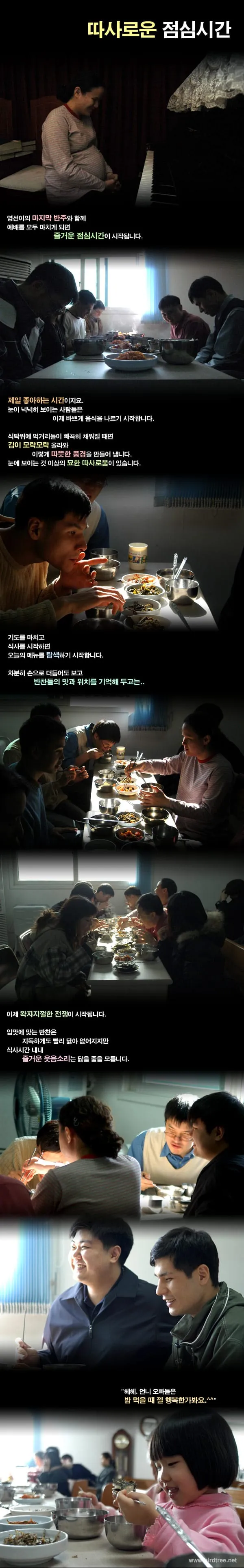 따사로운 점심시간