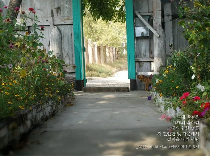 그대 발걸음