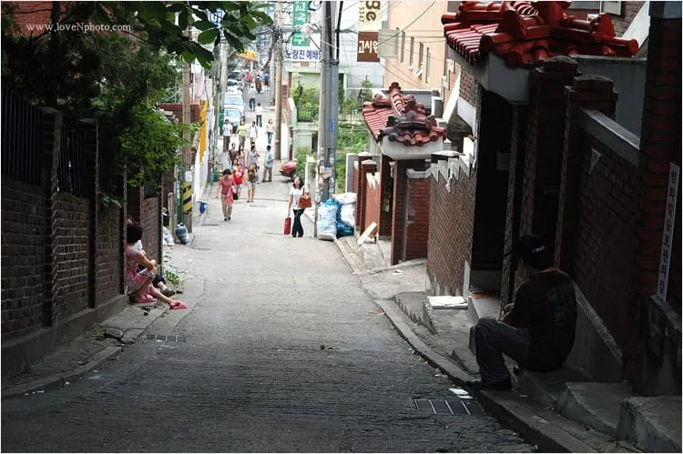 가족 같은 사랑